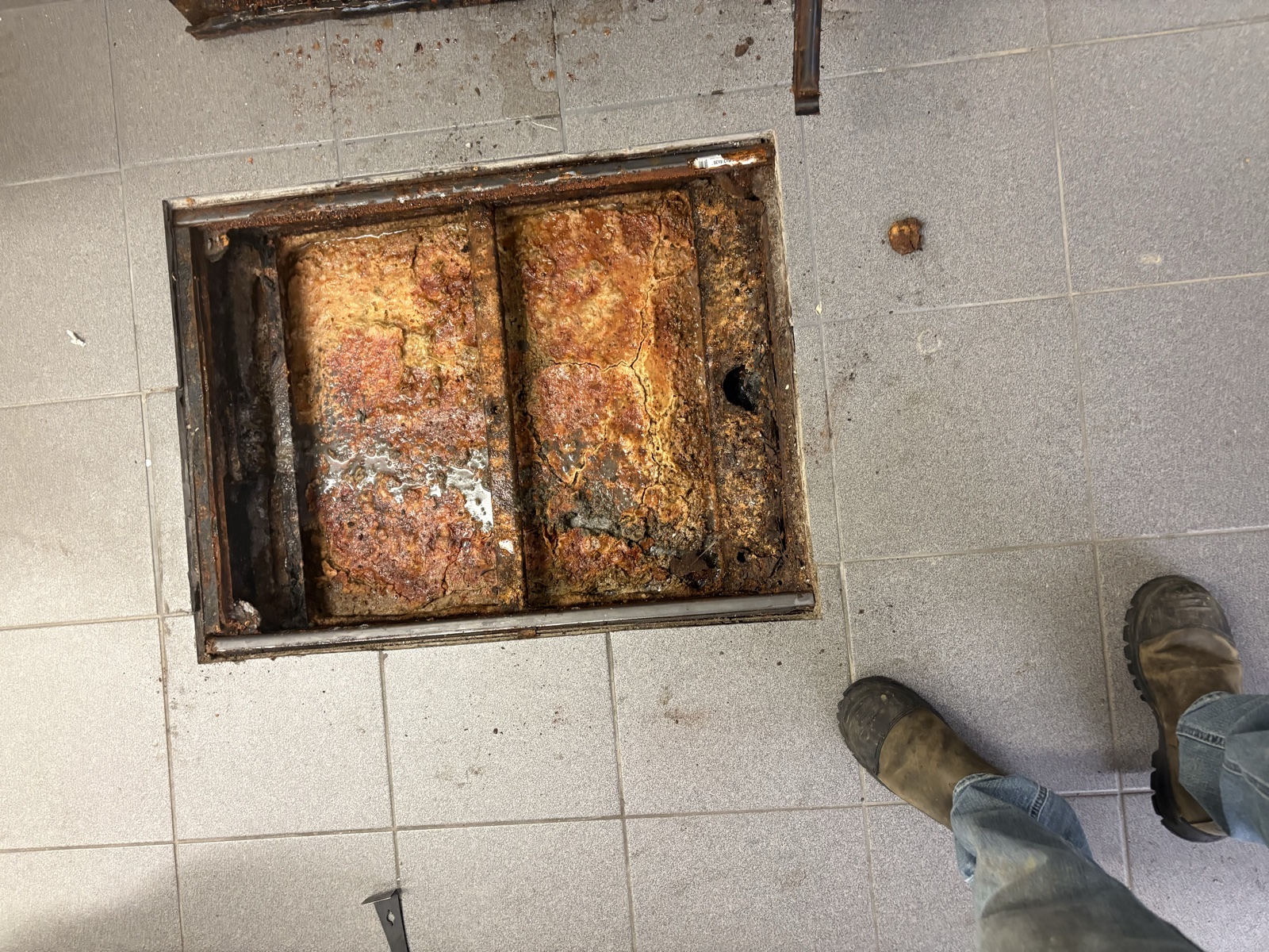 Real Thomas Plumbing job. Commercial floor drain on a North Bay restaurant before clean-out, the kind of routine commercial work Tyler Thomas handles outside business hours.