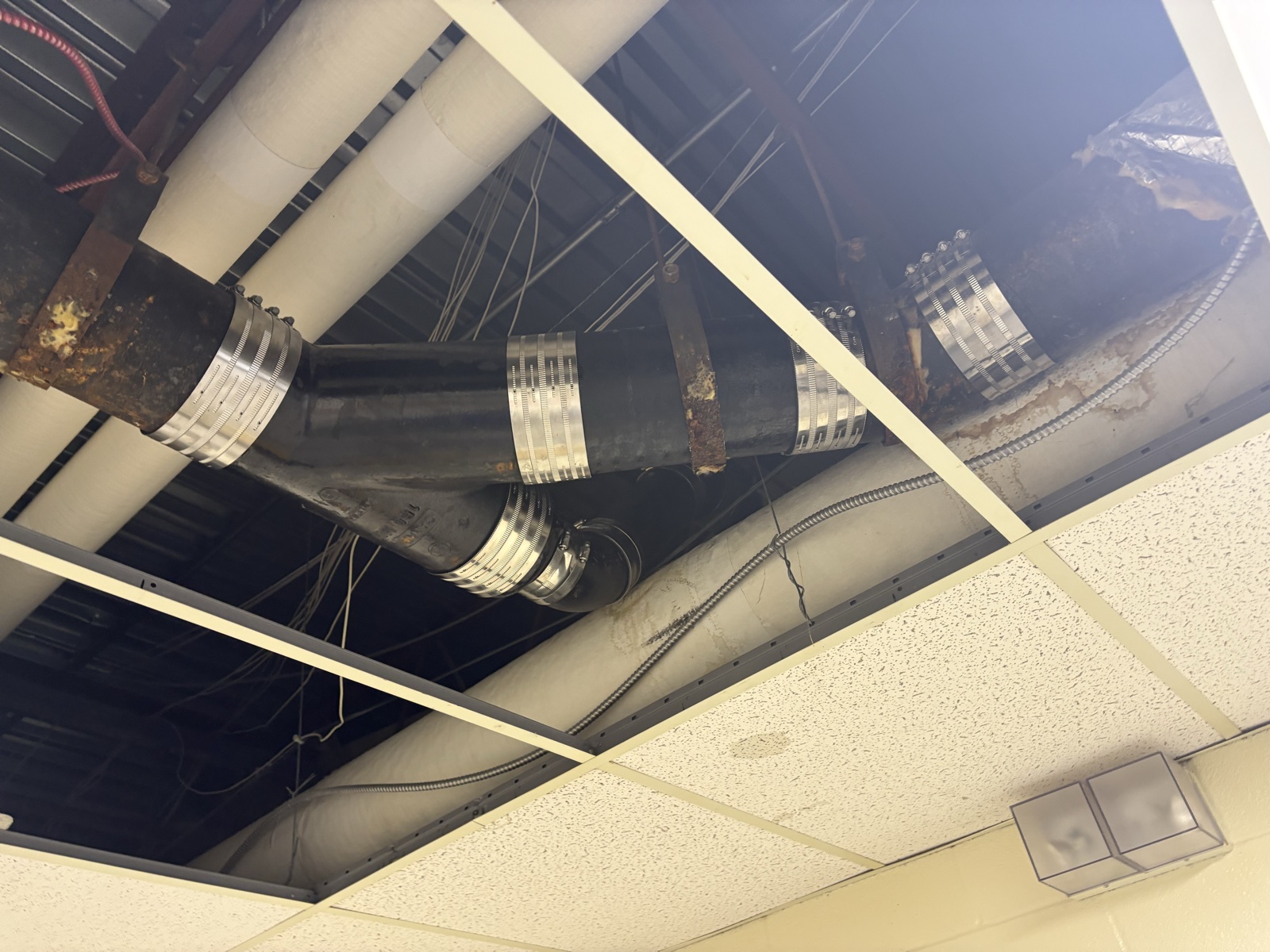 Real Thomas Plumbing job. Commercial overhead supply piping with mechanical couplings on a North Bay mechanical room serviced by Tyler Thomas.